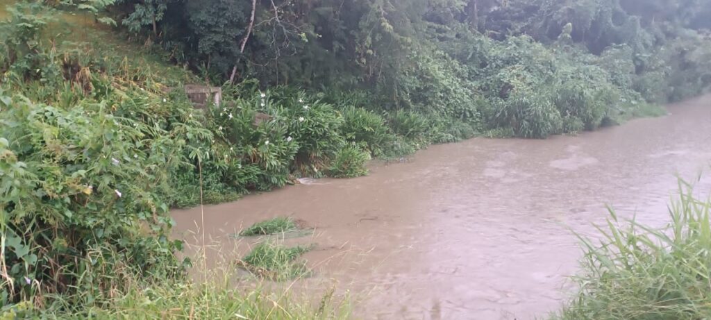 Corpo foi encontrado no barranco de rio na Avenida Perimetral João Stoklos, em Irati