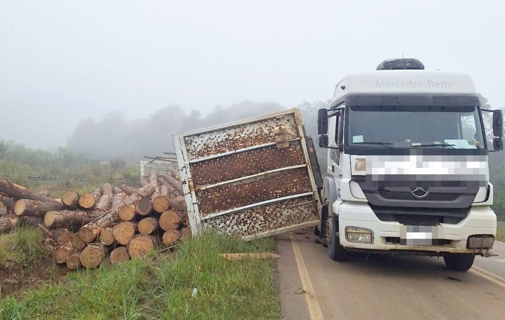 Carga de madeira ficou espalhada nas margens da PR-364 após acidente entre caminhão e locomotiva na manhã de ontem
