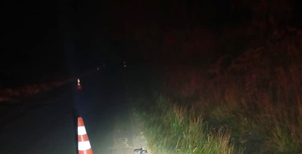Homem morreu atropelado na PR-151, no trecho entre os municípios de Palmeira e Ponta Grossa