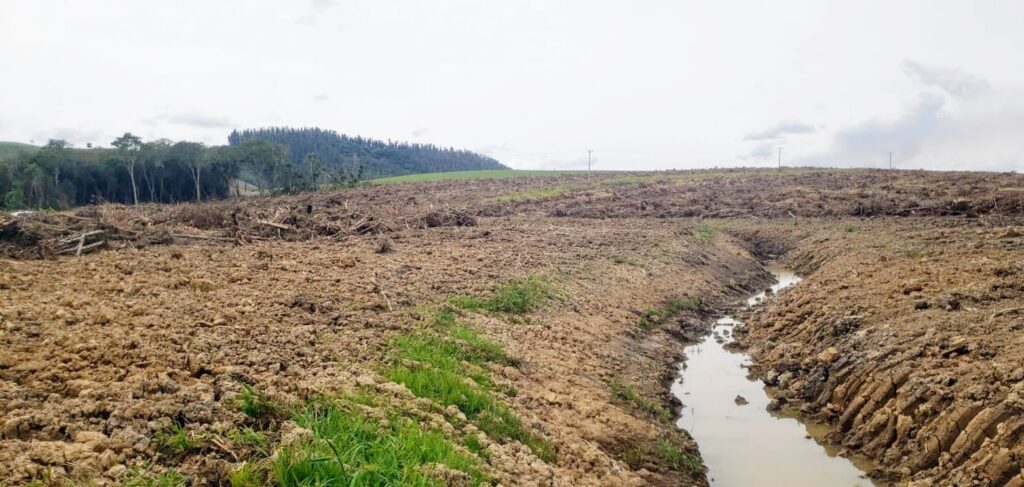 Polícia Ambiental constatou situações de desmatamento ilegal em Inácio Martins e Ivaí