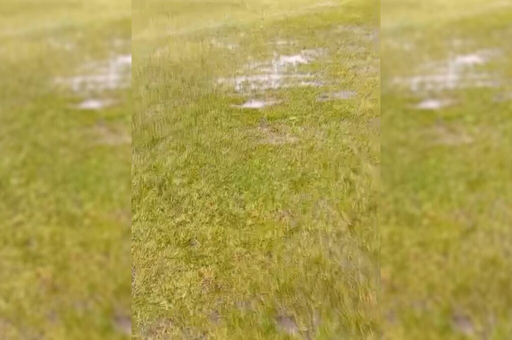 Estádio Municipal Orestes Pallú, em Rio Azul, estava com o gramado encharcado sem condições de jogo na manhã de hoje