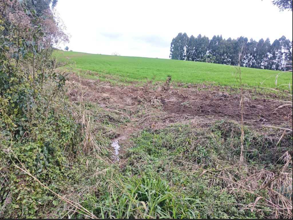 Em Polícia Ambiental aplica R$ 20 mil em multas por danos em áreas de ...
