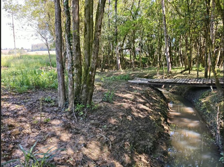 Em Polícia Ambiental aplica R$ 20 mil em multas por danos em áreas de ...